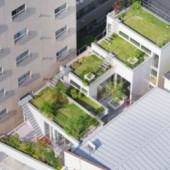 Nhà phố Nhật Bản sở hữu sáu khu vườn trên mái